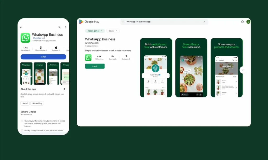 What APP business
