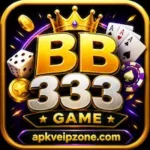 BB333 Game