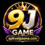 9J Game