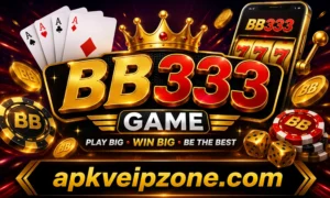 BB333 Game Complete Guide Free for Beginners in Pakistan 2